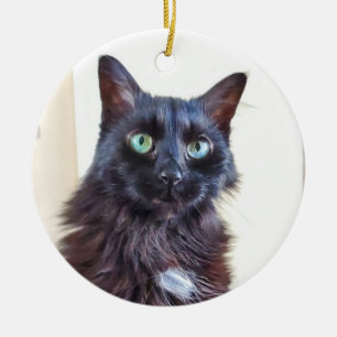 Black Cat Ornament