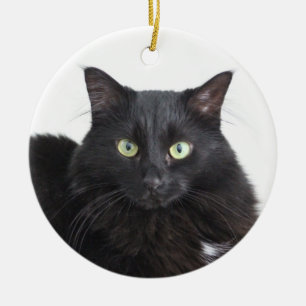 Black Cat ornament