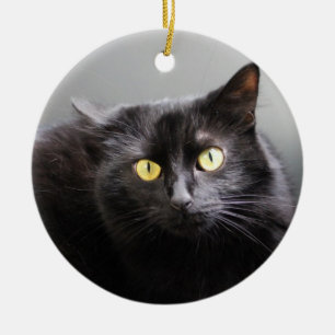 Black Cat Ornament