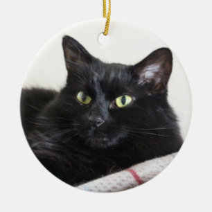 Black cat ornament