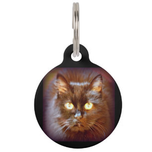 black cat pet tag
