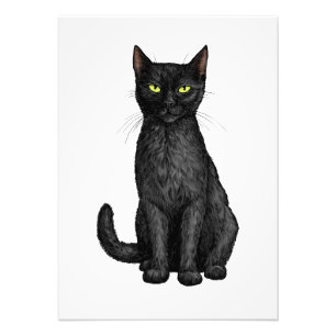 Black cat photo print