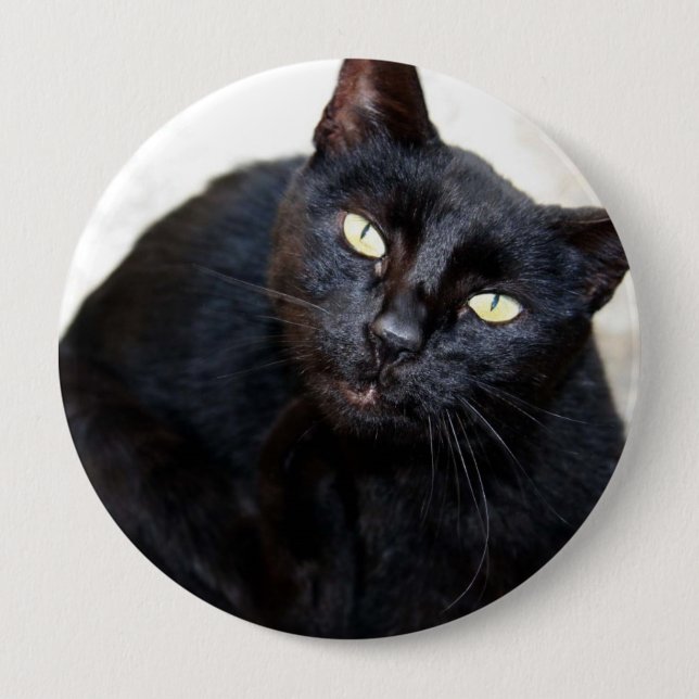 Black Cat Portrait 10 Cm Round Badge (Front)