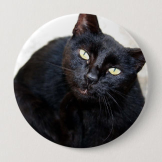 Black Cat Portrait 10 Cm Round Badge