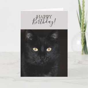 Black Cat Portrait Card