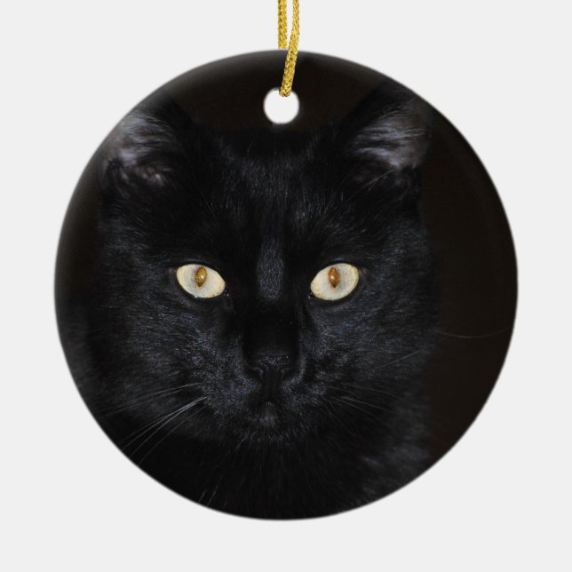 Black Cat Portrait Ceramic Ornament (Front)