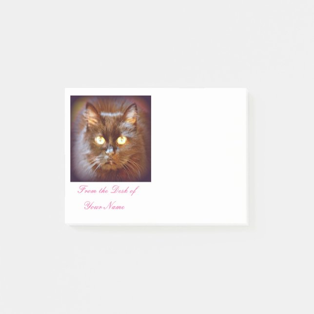 black cat post-it notes (Front)
