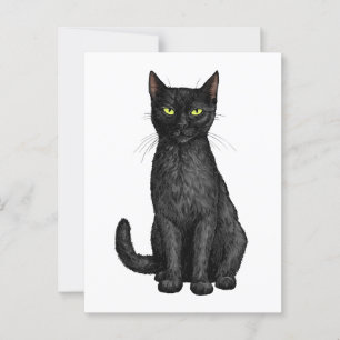Black cat postcard