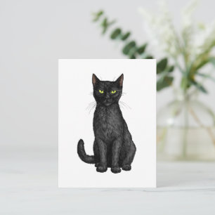 Black cat postcard