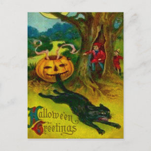 Black Cat Postcard