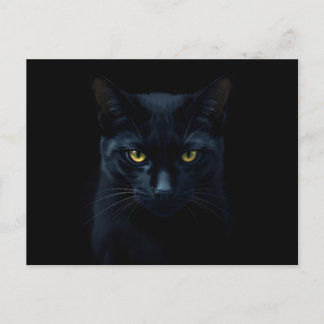Black Cat Postcard
