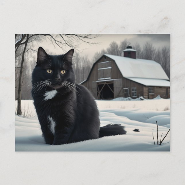 Black Cat Postcard Series 2 02 (Front)