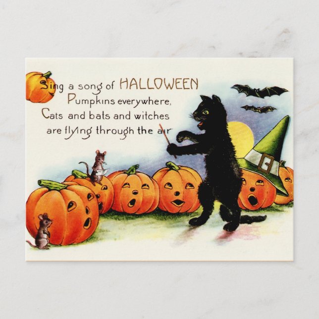 Black Cat postcard, Singing Pumpkins, Halloween Postcard (Front)
