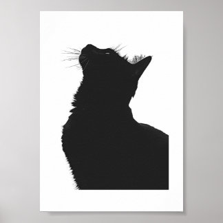 Black Cat Poster