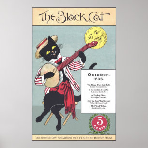 Black Cat Poster