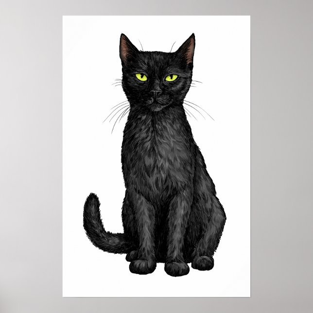 Black cat poster (Front)
