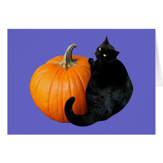Black Cat Pumpkin (Front Horizontal)