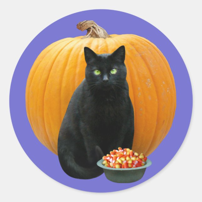 Black Cat Pumpkin Classic Round Sticker (Front)