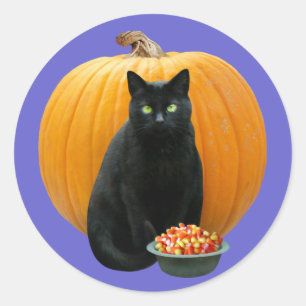 Black Cat Pumpkin Classic Round Sticker