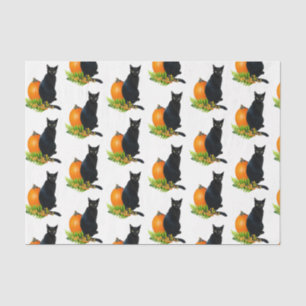 Black Cat Pumpkin Ferns Tissue Paper