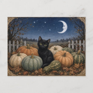 Black Cat Pumpkin Patch Vintage Postcard