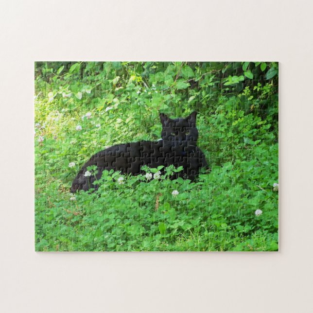 Black Cat Puzzle (Horizontal)