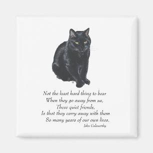 Black Cat Rainbow Bridge Magnet