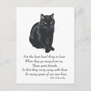 Black Cat Rainbow Bridge Postcard