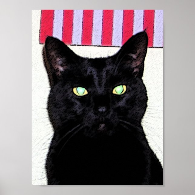 Black Cat / Red White Blue Poster (Front)