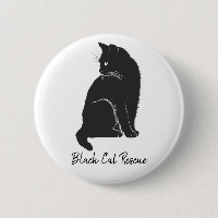 Black Cat Rescue