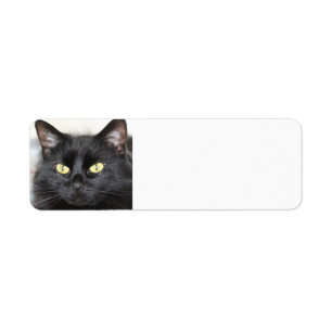 Black Cat Return Address Label