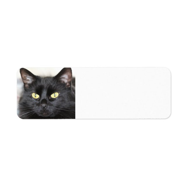 Black Cat Return Address Label (Front)