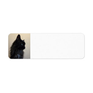 Black Cat Return Address Label