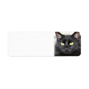 Black Cat Return Address Label