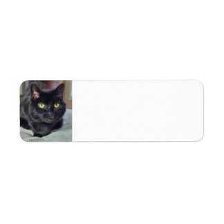 Black cat return address label