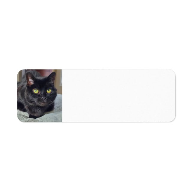 Black cat return address label (Front)