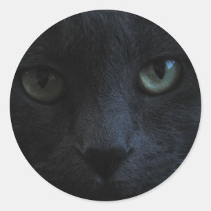 Black Cat Round Sticker