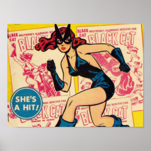 Black Cat, She's a Hit Poster