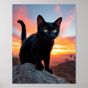 Black Cat Silhouette at Sunset Wall Art