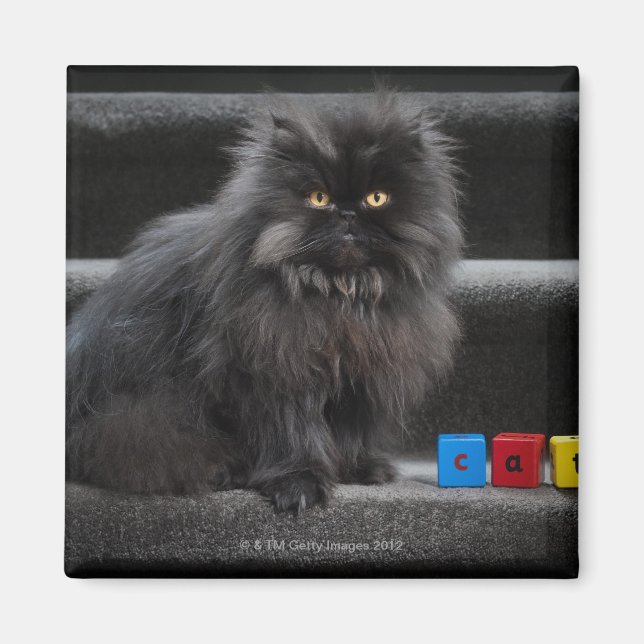 Black cat sitting on stairs by building blocks. magnet (Front)