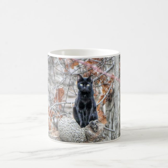 Black Cat Sitting Outdoors Coffee Mug (Center)