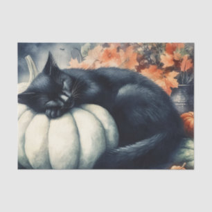 Black Cat Sleeping on a White Pumpkin Decoupage Tissue Paper