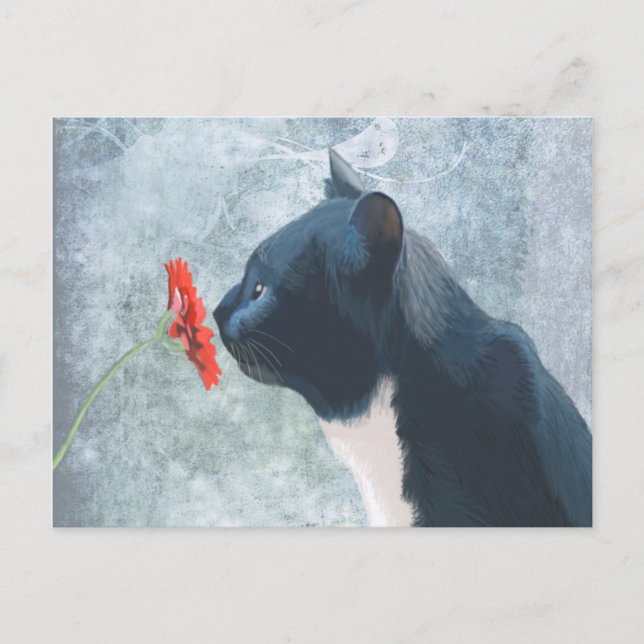 Black Cat Sniffing Flower Postcard (Front)