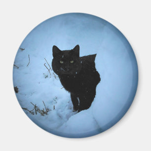 Black cat Snowy spotlight Magnet