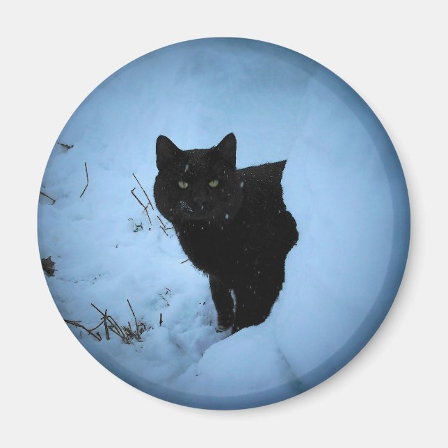 Black cat Snowy spotlight Magnet (Front)