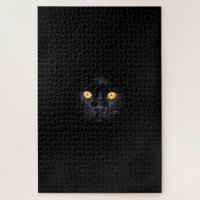 Black Cat Solid Background Difficult Animal Pet