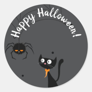 Black Cat & Spider Halloween  Classic Round Sticker