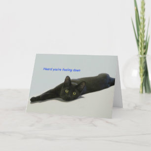 Black Cat Sprawled on Floor Card