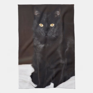 Black Cat Tea Towel