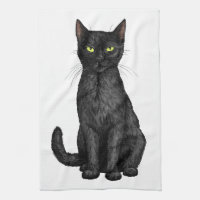 Black cat
